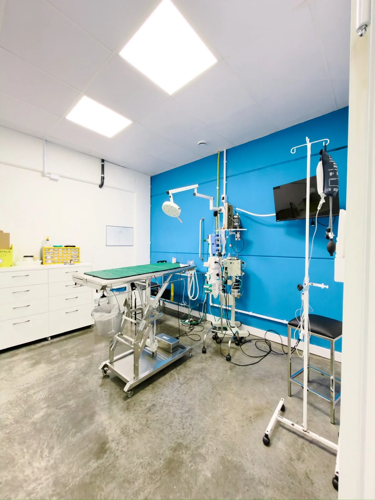 veterinário cirurgião em Chapecó