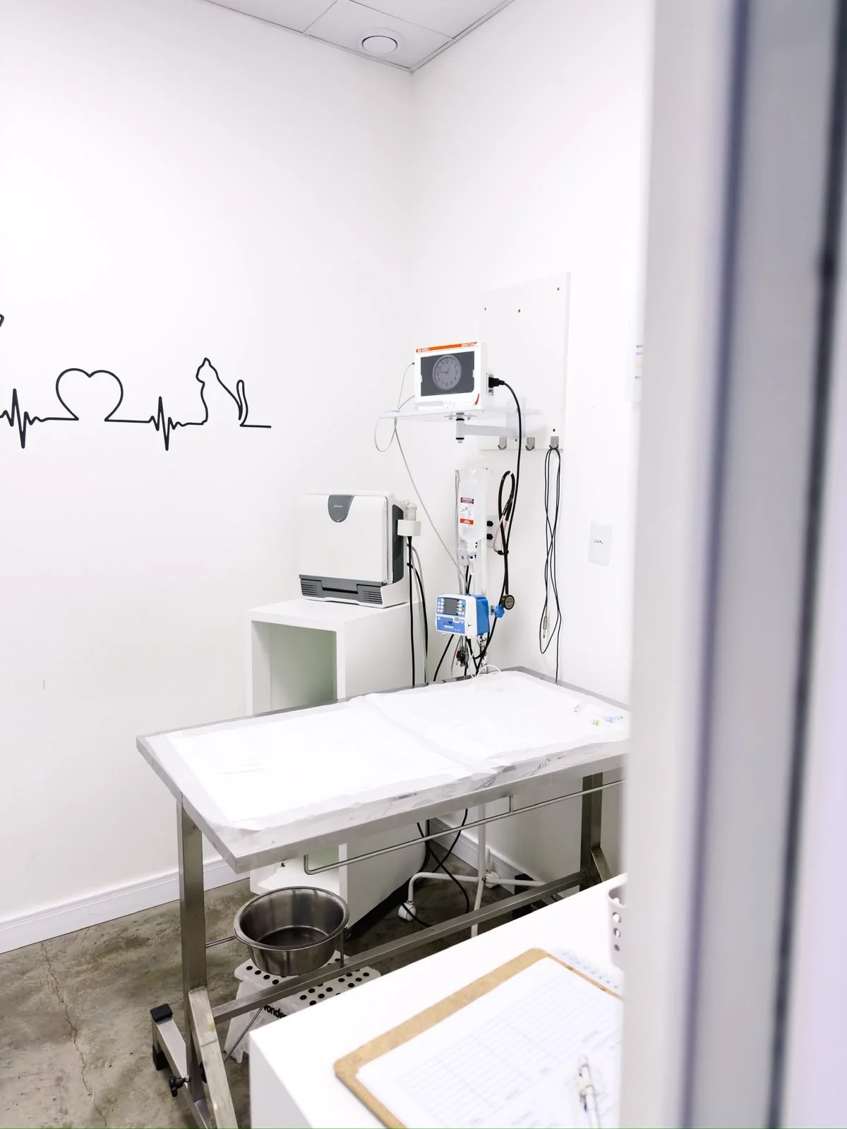clínica veterinária 24 horas em Chapecó
