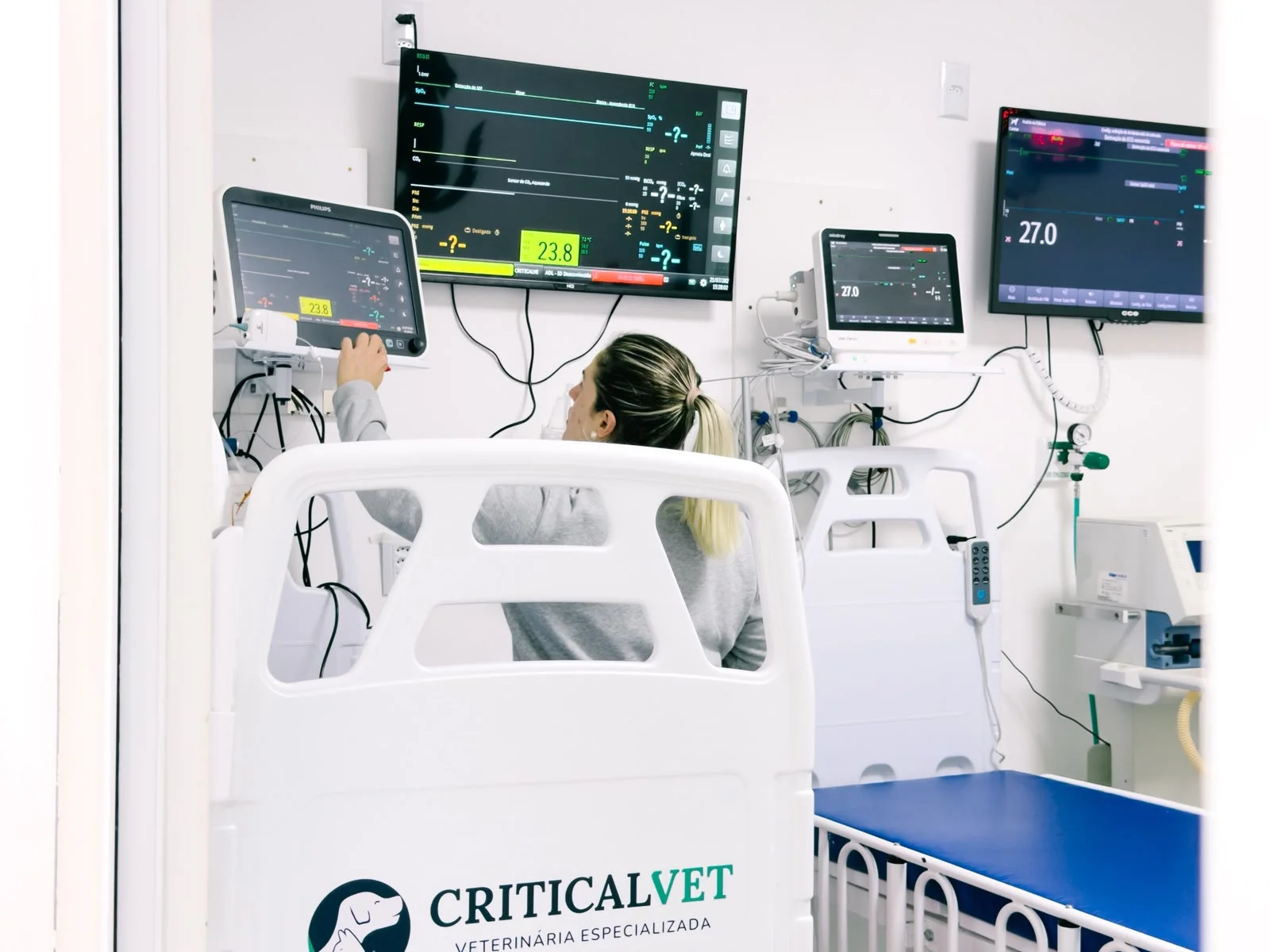 clínica veterinária para internação em Chapecó