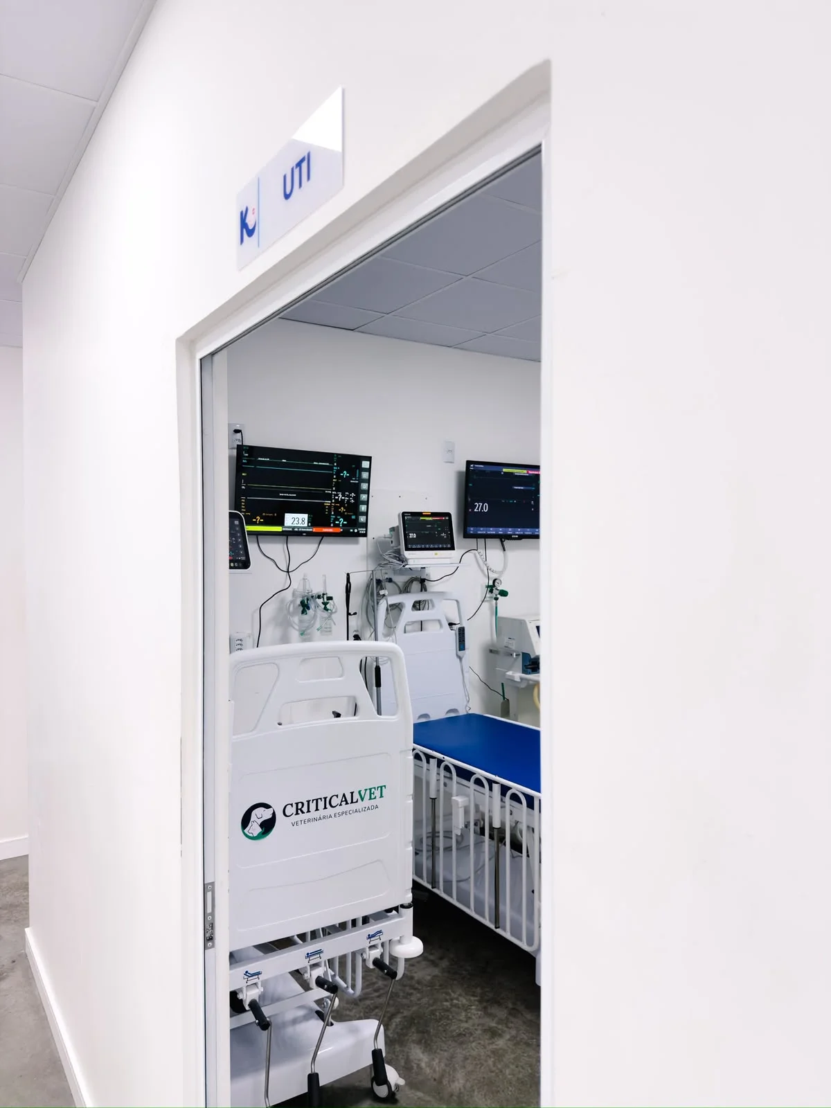 internação veterinária de emergência