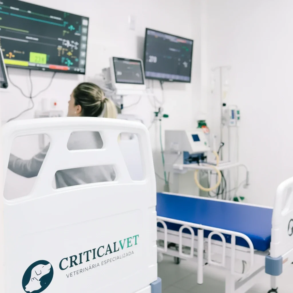 internação veterinária de emergência