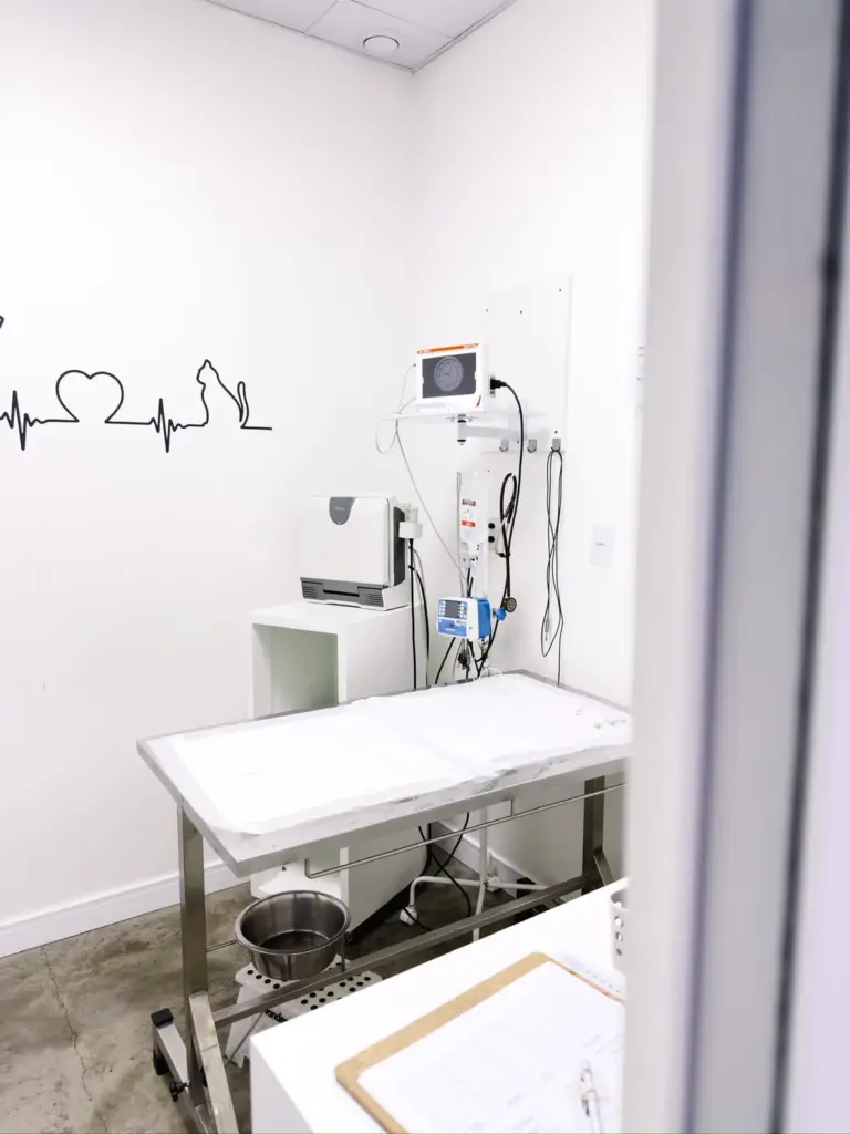 Serviço de Emergência e Pronto-Atendimento Veterinário 24 Horas